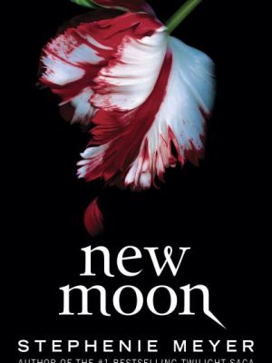 New Moon by Stephenie&nbsp;Meyer